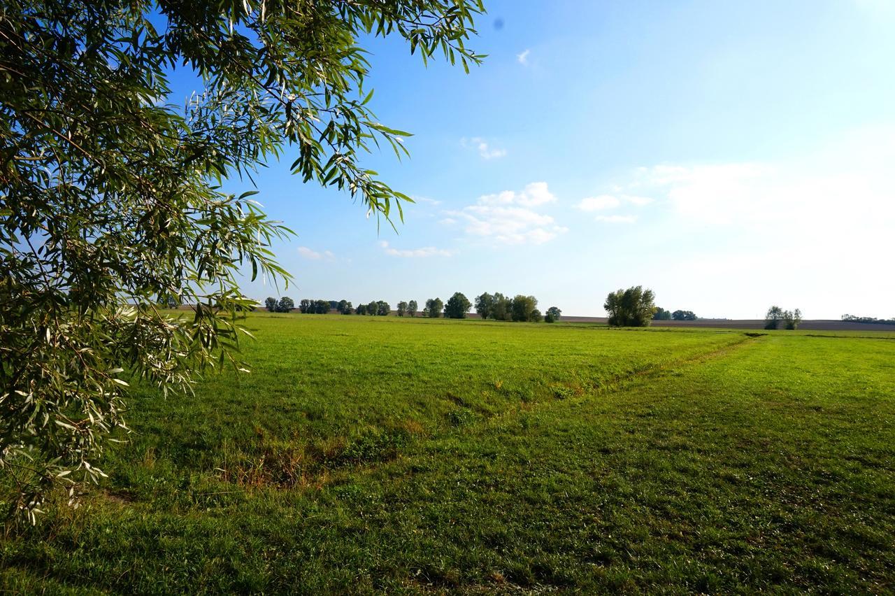 Gasthaus Zur Krone Windelsbach Eksteriør billede